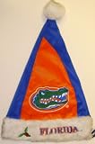 Florida Gators Plush Santa Hat