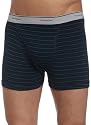 Fruit of the Loom Men's 4-Pack Stripe/Solid Assorted Trunks