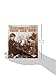 Toys and Games Then and Now (First Step Nonfiction ― Then and Now)