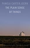 The Plain Sense of Things (Flyover Fiction)