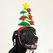 Christmas Tree Holiday Dog Hat - Size Small