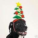 Christmas Tree Holiday Dog Hat - Size Large