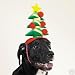 Christmas Tree Holiday Dog Hat - Size Large