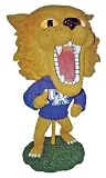 Kentucky Wildcats Big Head Lamp