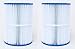 Unicel C-7626 25 Square Foot Media Replacement Pool Hot Tub Spa Filter Cartridge with 111 Pleats (2 Pack)