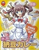水戸納豆カレー(箱入) <茨城県> 【北海道から九州まで全国ご当地カレー】