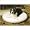 Precision Pet® Snoozy Ortho Air Therapeutic Inflatable Pet Bed, 42