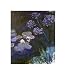 Kitchen & Housewares : Water Lilies and Agapanthus by Claude Monet. Art Print Poster FRAME IT.. 12.5 inches width by 14 inches height. Highest Quality Art Poster Print</title