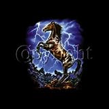Lightning Horse - Horse and Rodeo Women's Cut T-Shirt