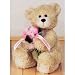 Gund Plush Bear with Flowers - Feel Better Get Well Soon, 10 Inches Image