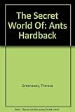 The secret world of ants