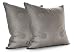 Inhabit Estrella in Mineral Studio Pillow