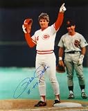 Pete Rose Autographed/Hand Signed Cincinnati Reds 16x20 Photo