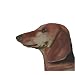 25 Pack Dachshund Note Cards by Dick Larsen