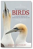 The Private Lives of Birds: A Scientist Reveals the Intricacies of Avian Social Life