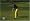 Tiger Woods PGA Tour 09 All-Play