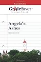 GradeSaver(tm) ClassicNotes Angela\'s Ashes