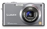 Panasonic Lumix FX100S 12.2MP Digital Camera with 3.6x Wide Angle MEGA Optical Image Stabilized Zoom (Silver)