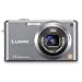 Panasonic Lumix FX100S 12.2MP Digital Camera with 3.6x Wide Angle MEGA Optical Image Stabilized Zoom (Silver)