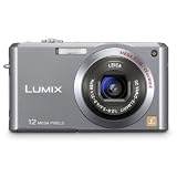 Panasonic Lumix FX100S 12.2MP Digital Camera with 3.6x Wide Angle MEGA Optical Image Stabilized Zoom (Silver)