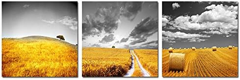 Spirit Up Art 3pcs/set Modern Decor Giclee Prints Framed Natural Landscape Artwork Wheat Field Pictures to Photo Paintings Print on Canvas Wall Art for Home Decorations 16 x 16inch, Ready to Hang