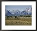 Jackson Lake Lodge has a magnificent view across Jackson Lake toward the Tetons Framed Art Poster Print by Joseph Baylor Roberts, 22x18