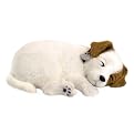 Perfect Petzzz Jack Russell