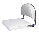 Cruzin Cooler Electric Scooter Seat Back