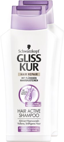 Gliss Kur Shampoo Hair Active 2er Pack (2 x 250 
