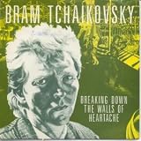 BREAKING DOWN THE WALLS OF HEARTACHE 7 INCH (7" 45) UK ARISTA 1981