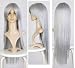 Cosplayland - 80cm straight Heat-Resistant Carnival Cosplay Witch Wig - Silver Grey