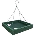 Going Greentm Platform Bird Feeder