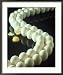 One Cracked Egg in Line with Unbroken Eggs Framed Photographic Poster Print by Ewing Galloway, 28x34