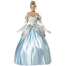 Enchanting Princess Cinderella Costume Ball Gown Victorian Dress Storybook Fairytale Couples Costume