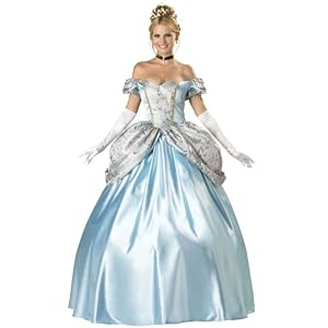 Enchanting Princess Cinderella Costume Ball Gown Victorian Dress Storybook Fairytale Couples Costume
