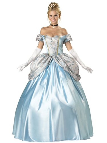 Enchanting Princess Costume Ball Gown