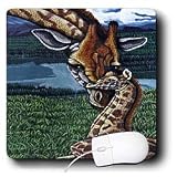 Steve Shachter Art - GIRAFFE MOTHER - Mouse Pads