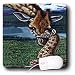 Steve Shachter Art - GIRAFFE MOTHER - Mouse Pads