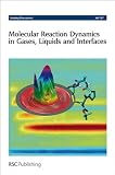 Molecular reaction dynamics in gases, liquids and interfaces : Assisi, Italy, 25-27 June 2012