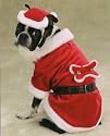 X Large Santa Paws Dog Costume