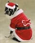 Santa Paws Dog Costume - SMALL