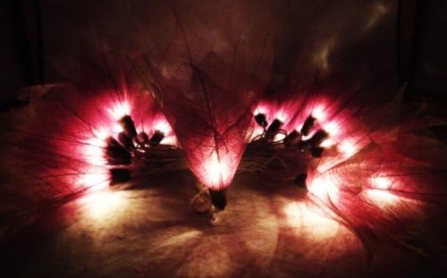 Thai Vintage Handmade 20 Burgandi White Bodhi Leave Flower Fairy Lights String Spa Home Decor Wedding Party Patio 3.5m