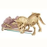 Kidzlabs - Dig A Triceratops Skeleton