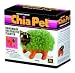 Chia Pet Handmade Decorative Planter, Kitten, 1 Each