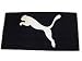 Sports : Puma Foundation Towel Badetuch blau