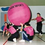 One Pink 4" Omnikin Kin-Ball including a Kin-Ball Bladder
