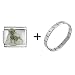 chihuahua23  - Angel Chihuahua Italian Charm Bracelet