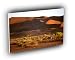 deer oryx namibia africa A2 Large Canvas