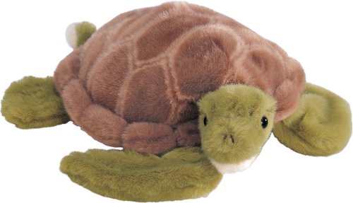Shea turtle