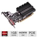 1GB Video Card